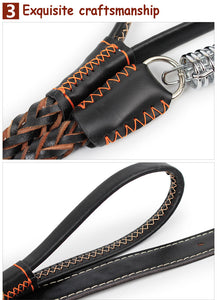 Leather Leash