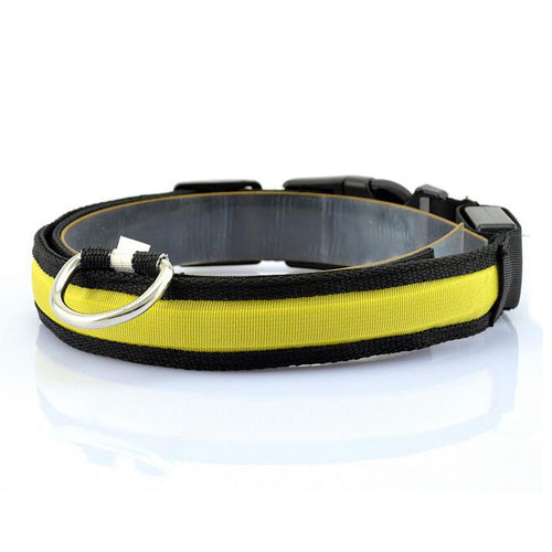 Nylon Led Collar