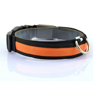 Nylon Led Collar