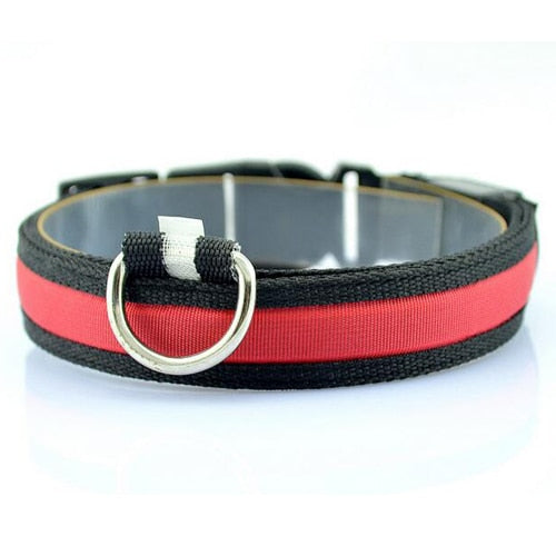 Nylon Led Collar