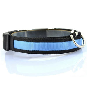 Nylon Led Collar