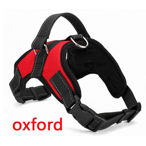 Premium Breathable Harnesses