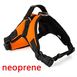 Premium Breathable Harnesses