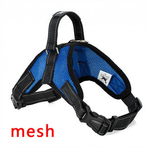 Premium Breathable Harnesses