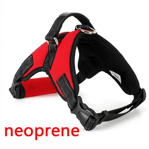 Premium Breathable Harnesses