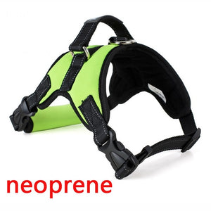 Premium Breathable Harnesses