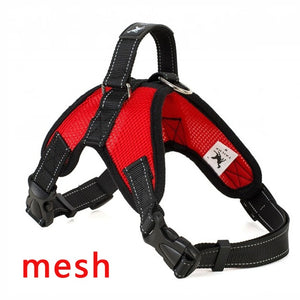 Premium Breathable Harnesses