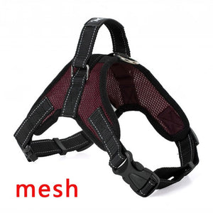 Premium Breathable Harnesses