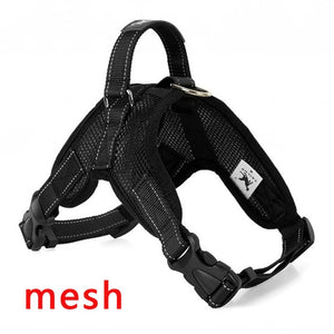 Premium Breathable Harnesses