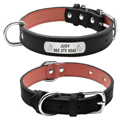 Personalaized ID Collar