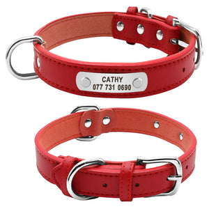 Personalaized ID Collar