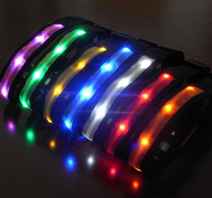 Nylon Led Collar