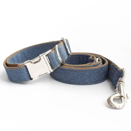 Designer Leash & Collar